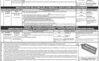PPSC Jobs Ad 17 2025 scaled 1