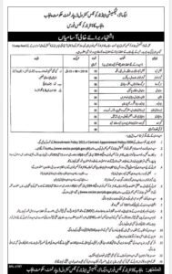 WhatsApp Image 2025 05 16 at 11.13.28 7c762184