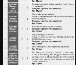 wmremove transformed