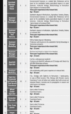 wmremove transformed