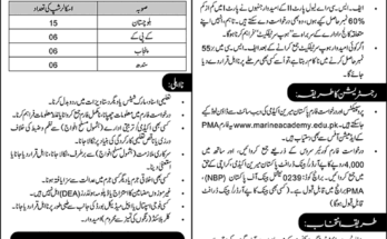 Ad Nawa i Waqt Job 20250601 002