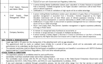 Ad The Nation Job 20250525 003