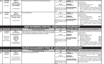 Screenshot 2025 06 19 210741