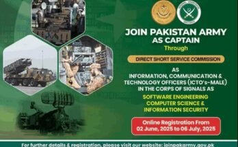 wmremove transformed 1